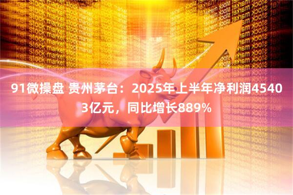 91微操盘 贵州茅台：2025年上半年净利润45403亿元，同比增长889%