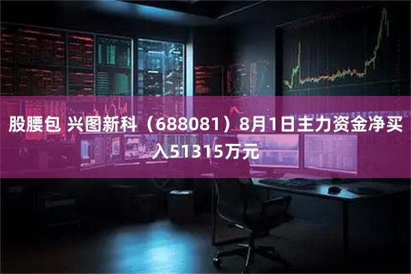 股腰包 兴图新科（688081）8月1日主力资金净买入51315万元