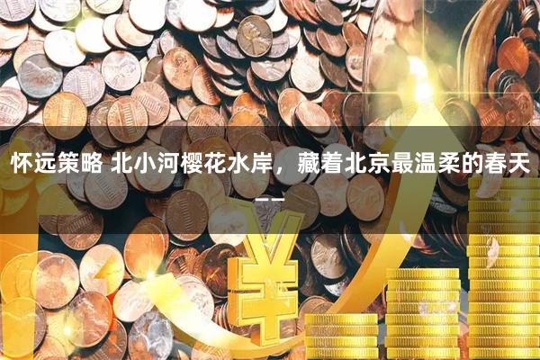 怀远策略 北小河樱花水岸，藏着北京最温柔的春天——