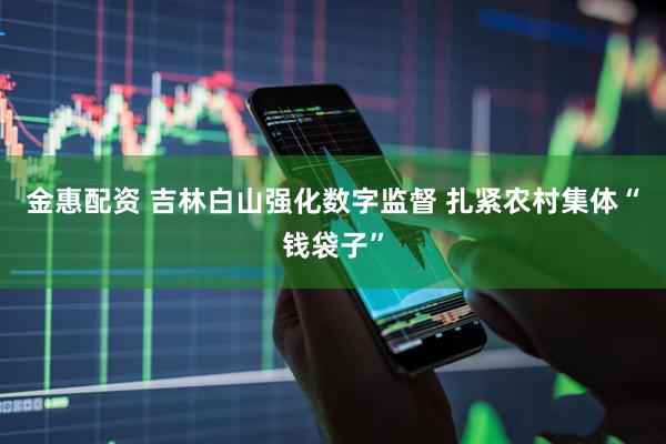 金惠配资 吉林白山强化数字监督 扎紧农村集体“钱袋子”