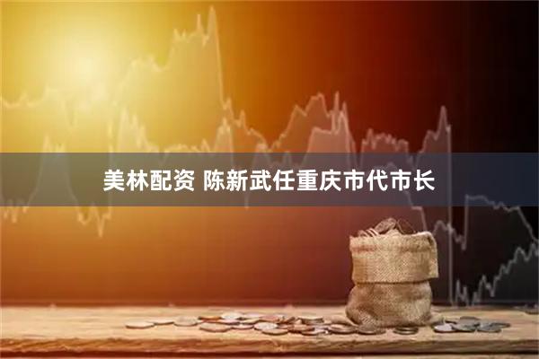 美林配资 陈新武任重庆市代市长